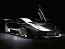 2006 Lamborghini Murcielago R-GT picture