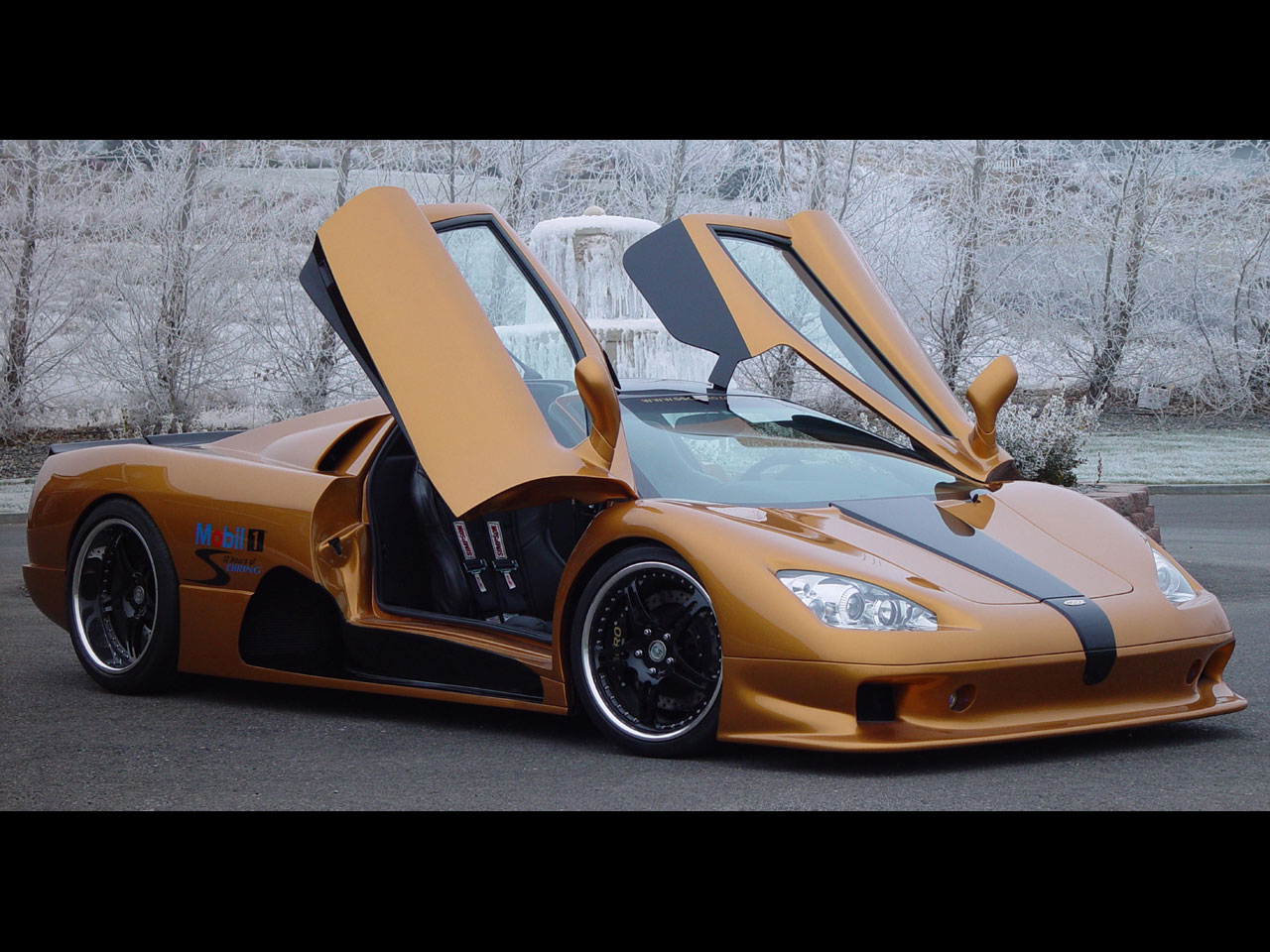 2006 SSC Ultimate Aero Picture